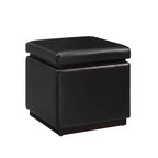 Pouf Contenitore Quadrato da 18", Similpelle, 90 kg, Imbottitura in Schiuma, Struttura in Legno, Nessun Montaggio