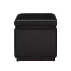 Pouf Contenitore Quadrato da 18", Similpelle, 90 kg, Imbottitura in Schiuma, Struttura in Legno, Nessun Montaggio
