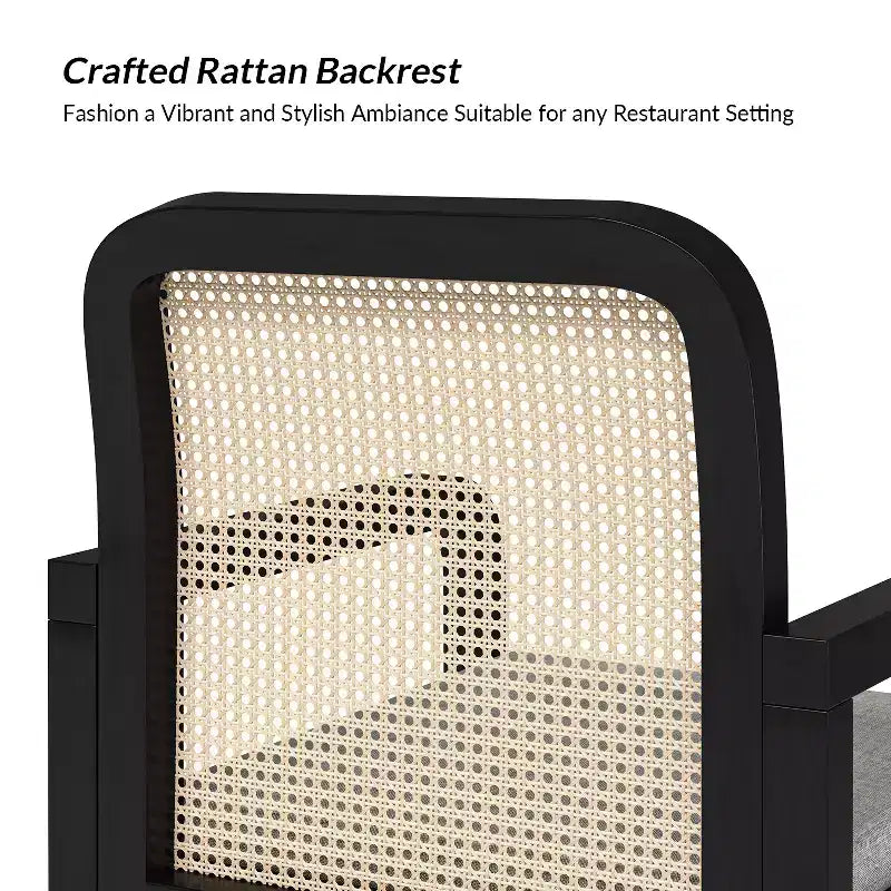 Sedia da pranzo moderna in rattan con cuscino rimovibile, struttura in legno di gomma, set da 2