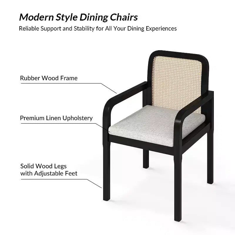 Sedia da pranzo moderna in rattan con cuscino rimovibile, struttura in legno di gomma, set da 2
