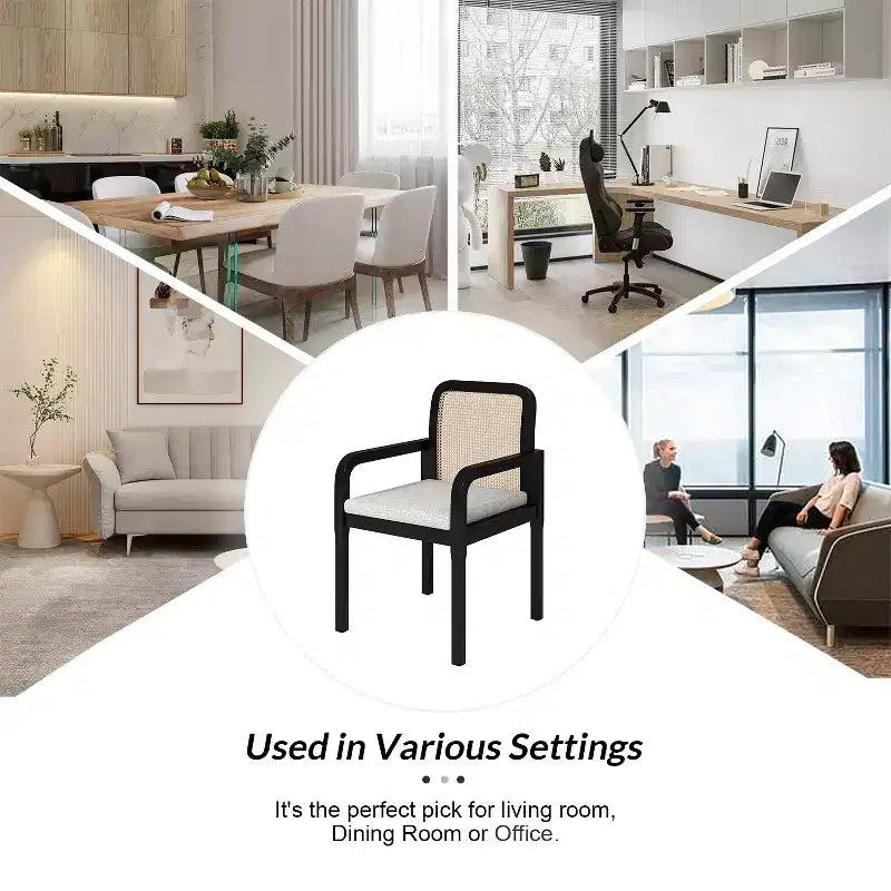 Sedia da pranzo moderna in rattan con cuscino rimovibile, struttura in legno di gomma, set da 2