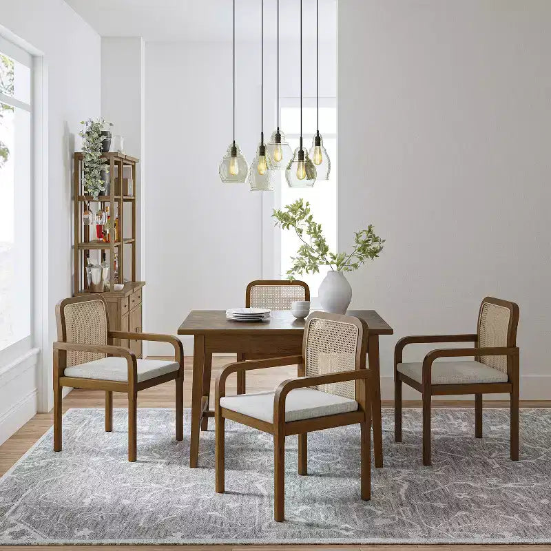 Sedia da pranzo moderna in rattan con cuscino rimovibile, struttura in legno di gomma, set da 2