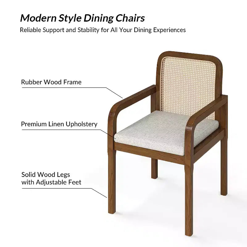Sedia da pranzo moderna in rattan con cuscino rimovibile, struttura in legno di gomma, set da 2