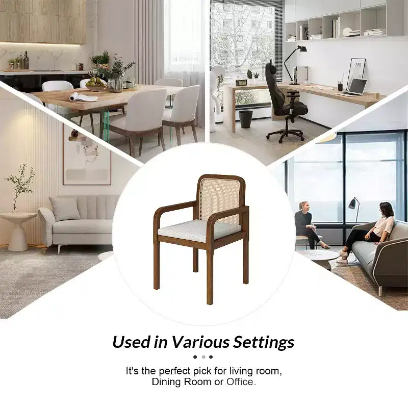 Sedia da pranzo moderna in rattan con cuscino rimovibile, struttura in legno di gomma, set da 2